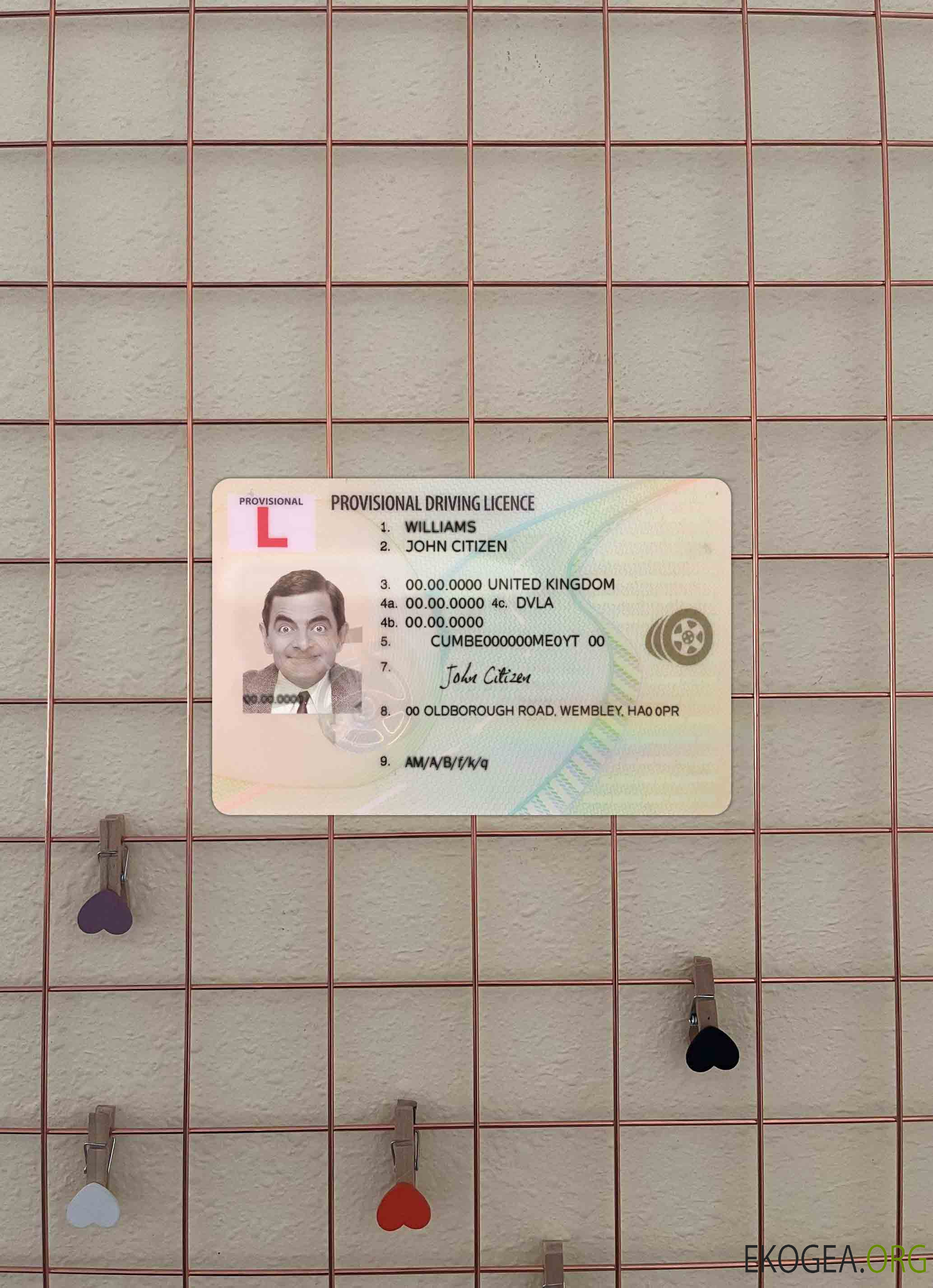 Photolook du permis de conduire provisoire du Royaume Uni AVANT